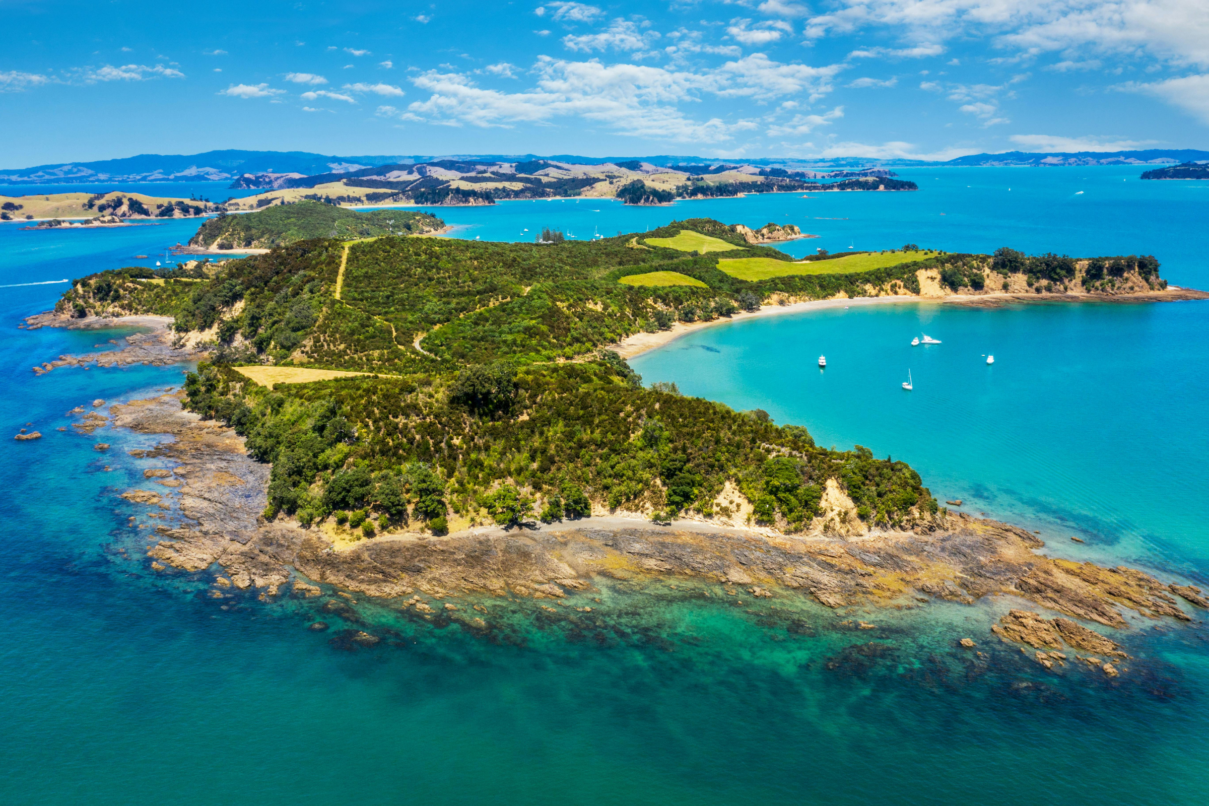 balleny islands (2).webp
